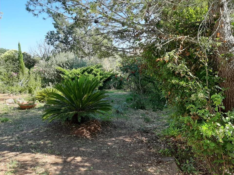 Mas Provencal Au Cannet Des Maures Le Cannet des Maures Bagian luar foto